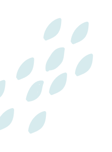 shapes